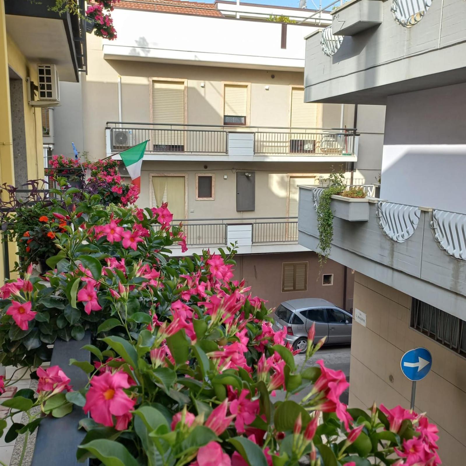 B&B Stupor Mundi Altamura Exterior foto